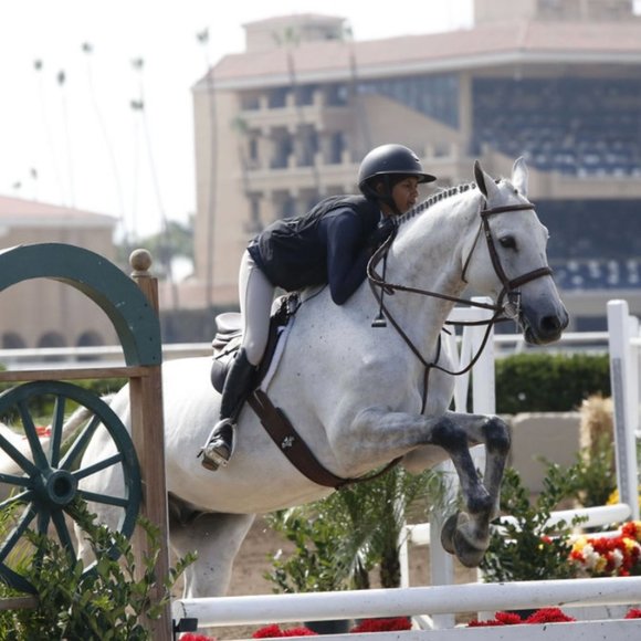 Meet your Posher, Rey! - Picture 1 of 1